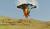Hintergrund