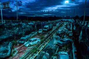 Foto im Vollbild