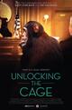 Unlocking the Cage