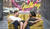 Hintergrund