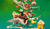 Hintergrund