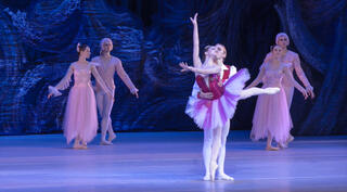 Joy Womack: The White Swan