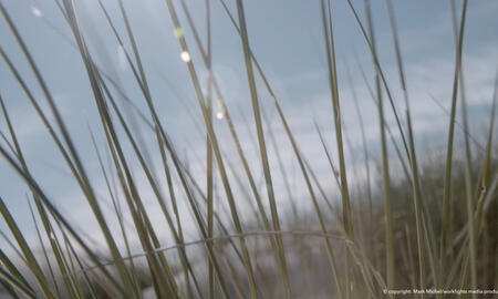 Galerie Foto