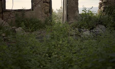 Galerie Foto