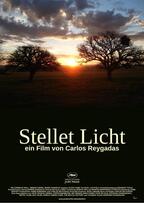 Foto im Vollbild