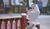 Hintergrund