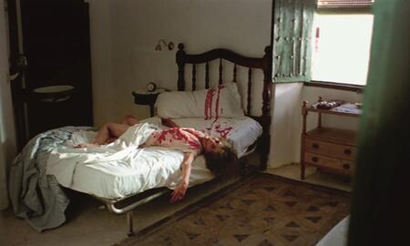 Galerie Foto