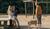 Hintergrund