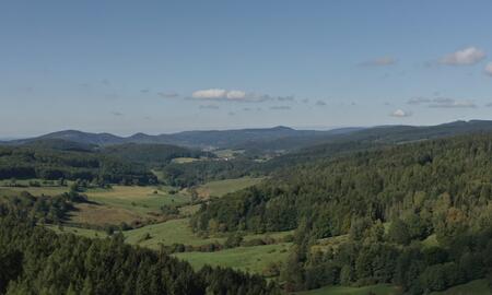 Galerie Foto