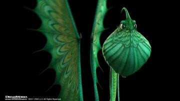 Foto im Vollbild