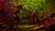 Hintergrund