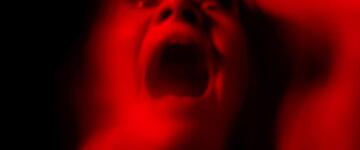 Foto im Vollbild