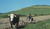 Hintergrund