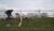 Hintergrund