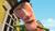 Hintergrund