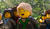 Hintergrund