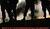 Hintergrund