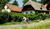 Hintergrund