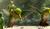 Hintergrund
