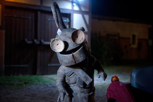 Foto im Vollbild
