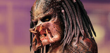 Bild zu:  Predator - Upgrade