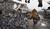 Hintergrund