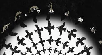 Foto im Vollbild
