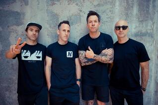 Simple Plan: The Kids in the Crowd