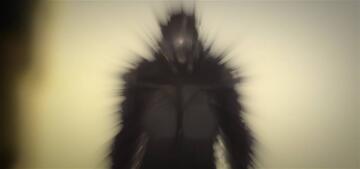 Foto im Vollbild