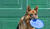 Hintergrund