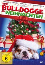 Eine Bulldogge zu Weihnachten