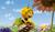 Hintergrund