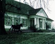 Foto im Vollbild