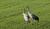 Hintergrund