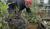 Hintergrund