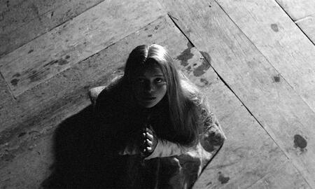 Galerie Foto