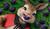 Hintergrund