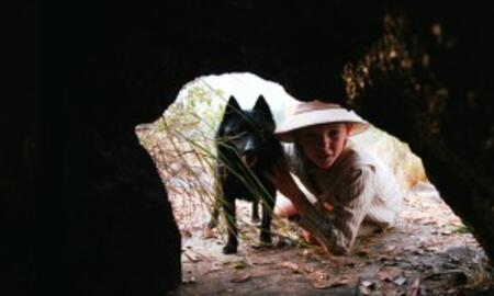 Galerie Foto