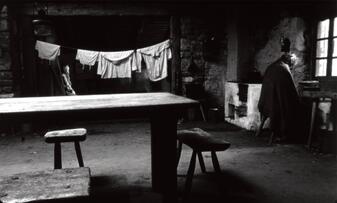 Foto im Vollbild
