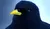 Hintergrund