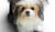 Hintergrund