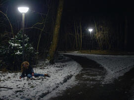Foto im Vollbild