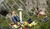 Hintergrund