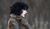 Hintergrund
