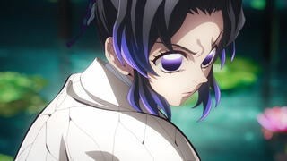 Demon Slayer: Kimetsu no Yaiba Infinity Castle