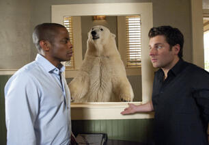 Staffel 5 von Psych