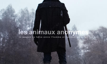 Galerie Foto
