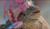 Hintergrund