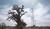 Hintergrund
