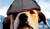Hintergrund